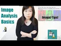 ImageJ 101 For Every P with Image Data
