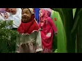 Download Lagu Lagu terima kasih guru Pagi ku cerah ku