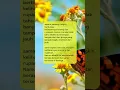 Download Lagu Sama seperti manusia, yang terlihat tenang belum tentut baik-baik saja bgtupun sebaliknya #quotes