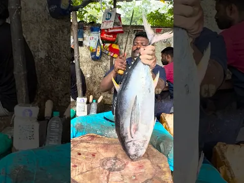 Kasimedu speed selvam tuna fish cutting #kasimeduselvam #tuna #bigfish #youtube #shorts