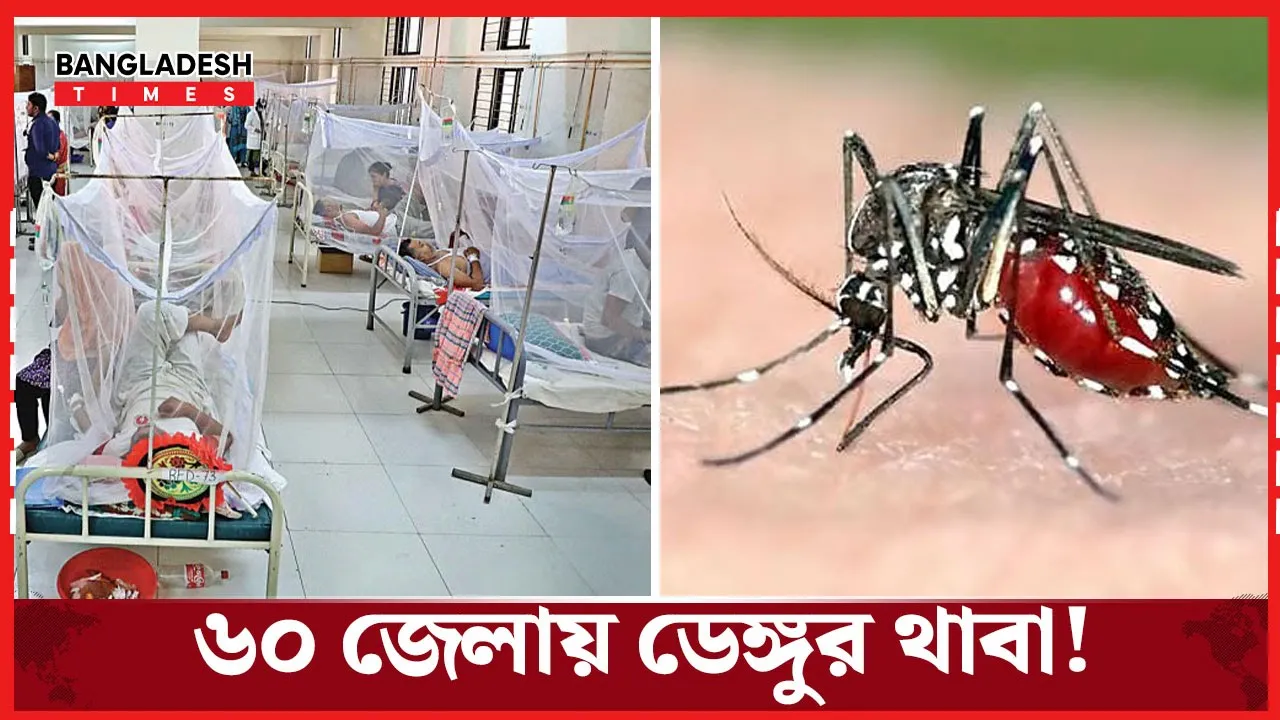 ৬০ জেলায় ডেঙ্গুর ভয়াল থাবা, বাড়ছে আক্রান্তের সংখ্যা