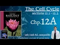 Chp 12 The Cell Cycle section 12 1 - 12 2 Campbell Biology ed
