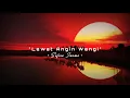 Lagu LEWAT ANGIN WENGI - Salsa Kirana || Lirik Video