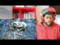 BILLY STRINGS Watch it Fall REACTION - Stunning Bluegrass with a Powerful Message!