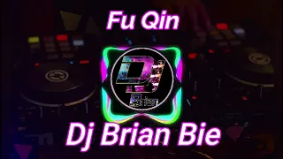 fu qin remix by dj brian bie