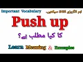 Push Meaning in Urdu