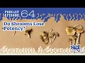 Do Shrooms Lose Potency