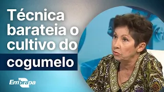 Cogumelos: conheça a técnica JunCao #embrapa