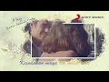 May - Sketsa Sebuah Cinta (Official Lyric Video)