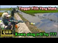 Melipir sawah setelah dipanen. Menembak ikan disawah setelah banjir.