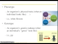 Bio 112 Chapter 9 Part 1 Patterns of Inheritance