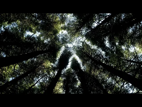 Leave | Short Horror Film