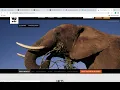cli ruby gem project walkthrough - Flatiron School