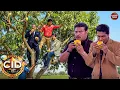 Lagu जांच छोड़कर जब टीम CID ने पेड़ पर चढ़कर खाए ताज़े आम | सी.आई.डी.| CID | New Episode 1029