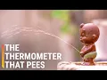How the Chinese Pee-Pee Boy Thermometer Works