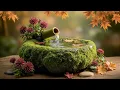 Download Lagu 🍁Calming Sleep Music 💤 Stress Relief Music, Insomnia Healing ~ Gently Water