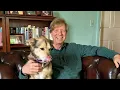 Buying Pet-Resistant Furniture for a HUGE Room Makeover
