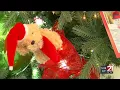HUMANE FORT WAYNE PETS FOR CHRISTMAS