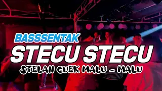 dj stecu stecu stelan cuek malu malu bass sentak full party nzar djockey remix 
