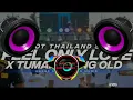 Download Lagu DJ FUNKOT THAILAND STYLE KARNAVAL PART WES AKEH - FEEL ONLY LOVE MASHUP TUMANEDANG MENGKANE