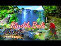 Download Lagu Gamelan Rindik Bali Full Suara Burung di Alam Dengan Panorama Air Terjun