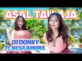 Download Lagu DJ ASAL TAU AJA | DJ TIKTOK | FULL BASS JEDAG JEDUG - DJ DONKY ft. Nesa Amora