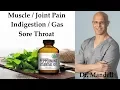 How Peppermint Oil Cured My Patients Muscle Joint Pain Indigestion Sore Throat - Dr Mandell