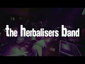 The Herbaliser Band Live Jam in Prague | Tour Kickoff 2025 | Funk Soul Hip Hop Groove