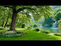 Restore Your Nervous System Relaxing Music Nature Sounds for Deep Sleep and Stress Relief