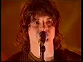 The Seahorses, Love Is The Law, live on TFI Friday