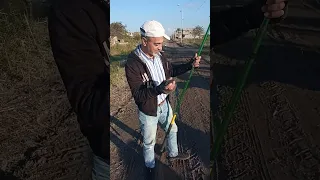 الصياد السو يصتاد فى النو عم ابراهيم صياد الخضره فى عز الشتاء 