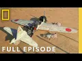 Download Lagu World War II: Attack on Pearl Harbor (Full Episode) | Drain the Oceans | Nat Geo