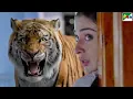 Download Lagu Tiger घर में घुस औरतें बच्चे के जान के पीछे पड़ गया - Srikanth, Raai Laxmi, Naira Shah - Mirugaa