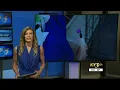 Springfield animal rescue needs help after bringing in abused pets