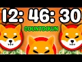 Download Lagu SHIBA INU: 98% VAN DE AANBOD IS NET GESTOLEN! SHIBA INU MUNT NIEUWS UPDATE! PRIJSVOORSPELLING ANA...