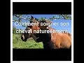 Lagu Comment soigner son cheval au naturel ? Biorésonance, shiatsu