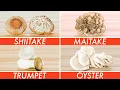 Trying Every Type Of Mushroom The Big Guide Epicurious
