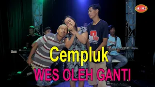 Download Cempluk - Wes Oleh Ganti Jhandut | Dangdut (Official Music Video) MP3