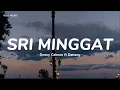 Download Lagu Sri Minggat - Denny Caknan ft Danang || lirik lagu