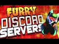 We Went on Furry Discord Dating Servers Ft SoimNiko