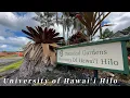 University of Hawaiʻi Hilo Campus: A Glimpse of Hale Ikena
