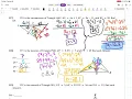 Unit 6 Final Exam Review