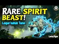 Download Lagu Loque’nahak Tame Guide – Rare Spirit Beast Hunter Pet (WoW 2025)
