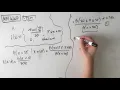 MM440 Maths Methods Fortify Study Guide - Probability application question