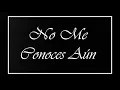 No Me Conoces Aún-Palomo (Letra)