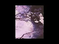 Just For the Night - shankz javicanx [𝙎𝙡𝙤𝙬𝙚𝙙 + 𝙧𝙚𝙫𝙚𝙧𝙗]