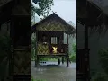 Lagu Suasana Mencekam di Tengah Hutan Saat Hujan \u0026 Petir