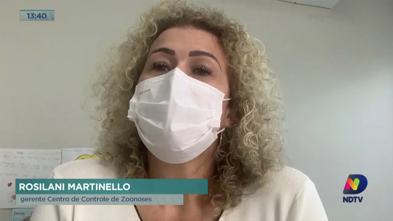 Ações de fiscalização: nove bairros têm registros de escorpiões amarelos