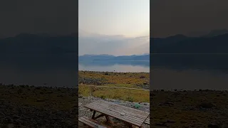 @Cruising Lealea #shorts