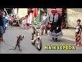 Download Lagu ONDEL ONDEL Nonton TOPENG MONYET, Lucu Sekali !! ~ Funny Monkey Attraction